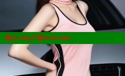 糖心vlog下载welcome