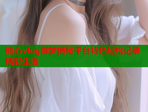 糖心vlog御梦揭秘平台特色轻松记录精彩生活 第1张 糖心vlog御梦揭秘平台特色轻松记录精彩生活 第1张